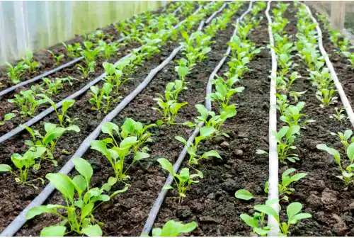 Drip irrigation system manufacturer