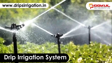 Drip Irrigation  Supplier in Ahmedabad
