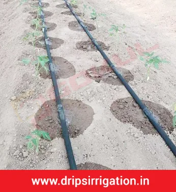 Drip Irrigation Manufacturer in India
