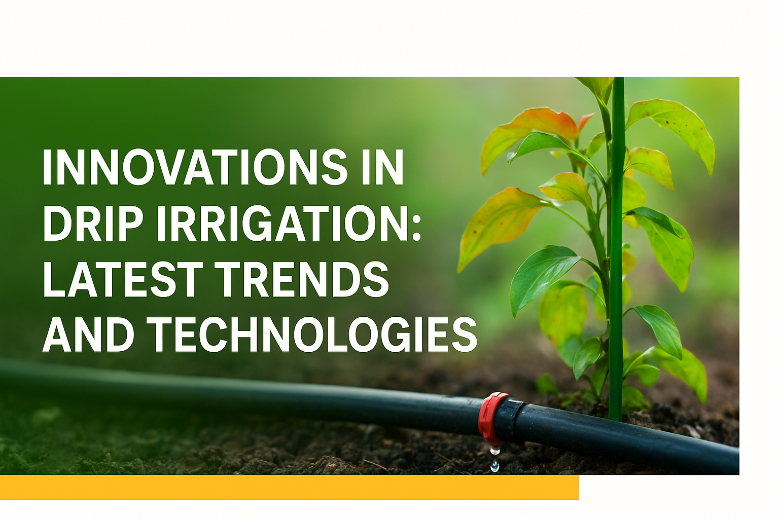 Drip Irrigation system