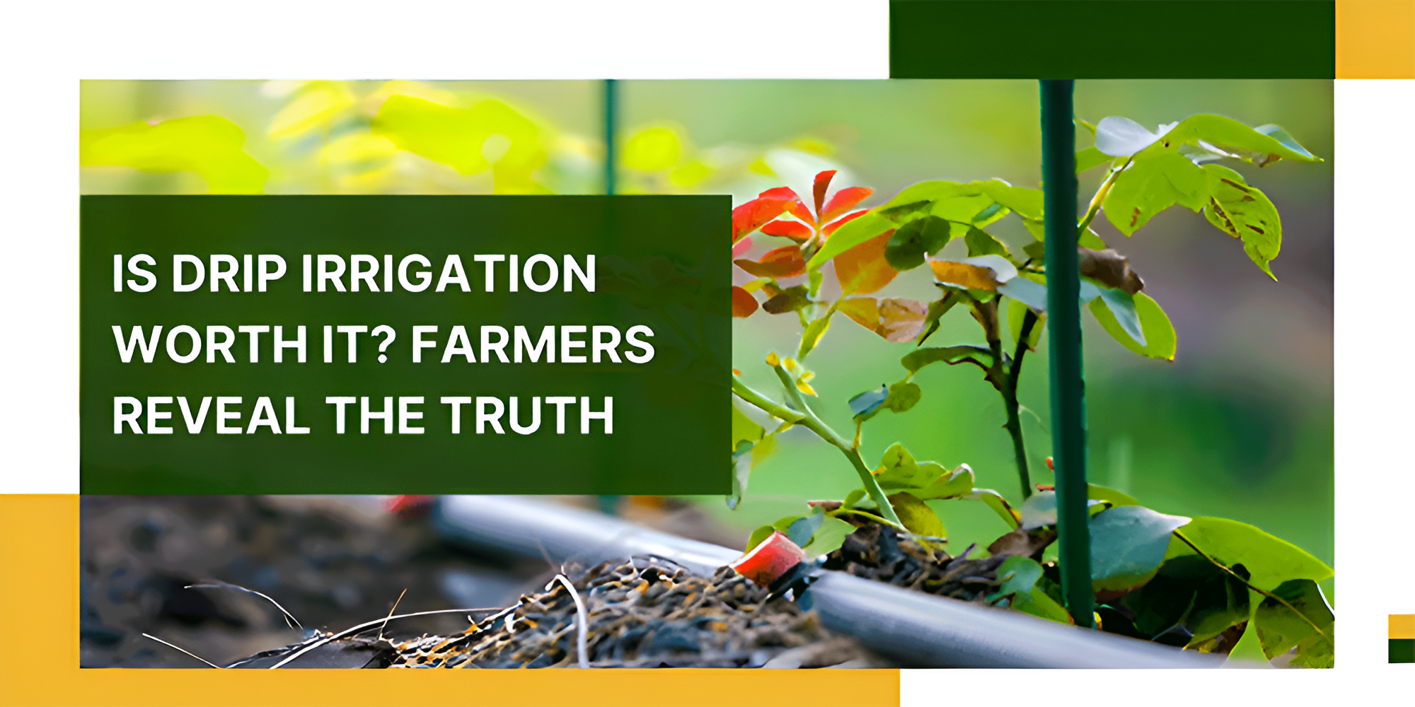 Drip Irrigation system